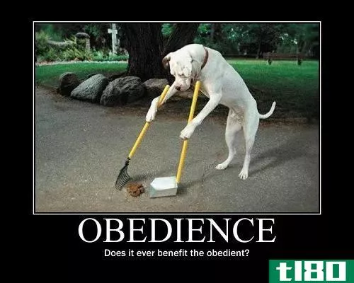 一致性(conformity)和服从(obedience)的区别