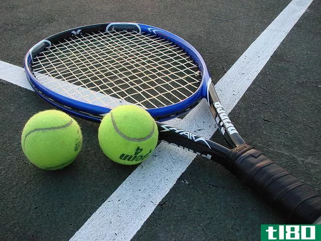 网球(tennis)和羽毛球(badminton)的区别