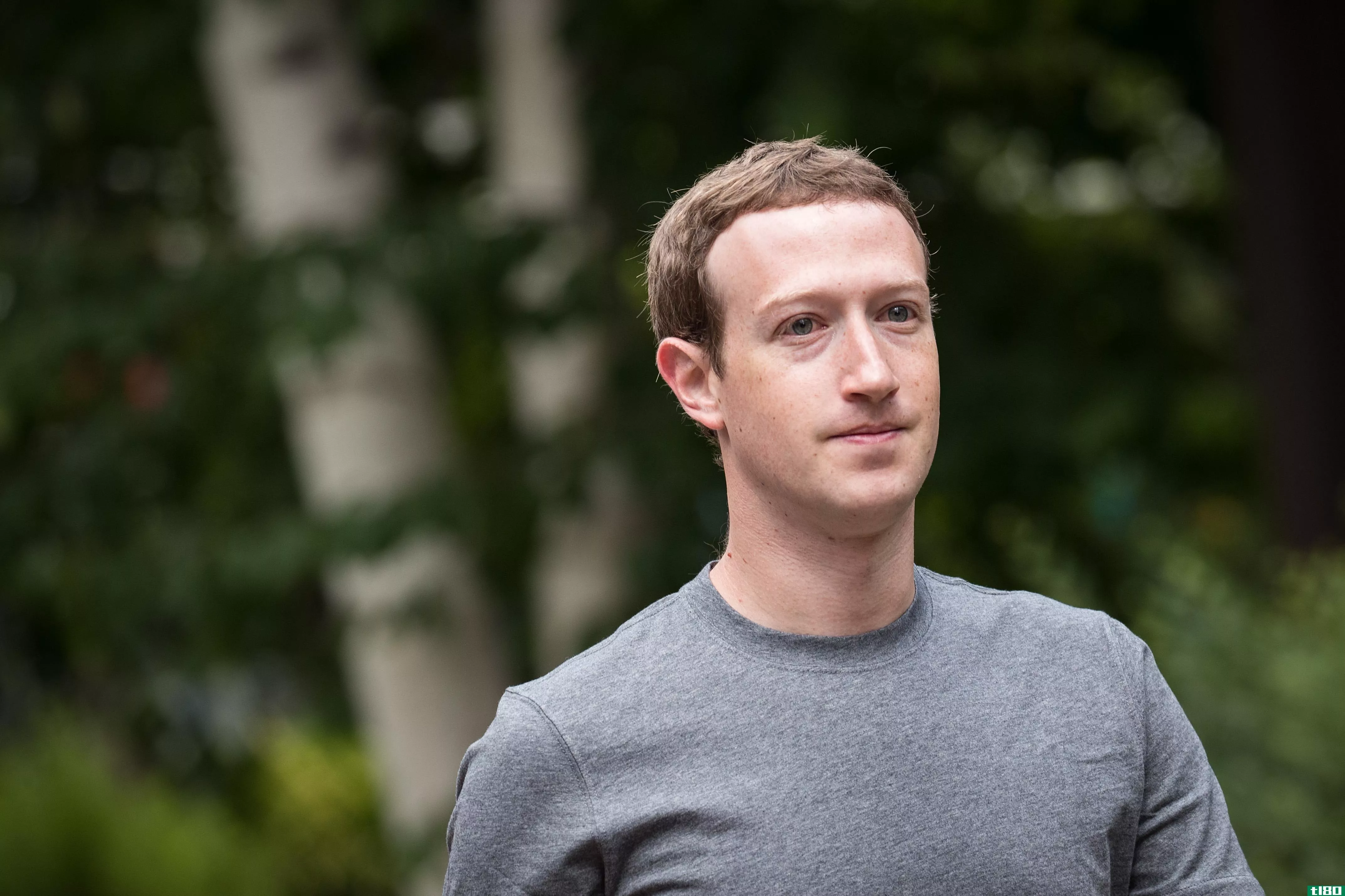 facebook的业务正在蓬勃发展，但它表示，防止滥用将削减未来的利润