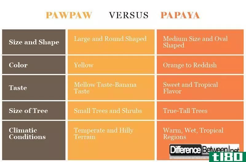 爪子(pawpaw)和番木瓜(papaya)的区别