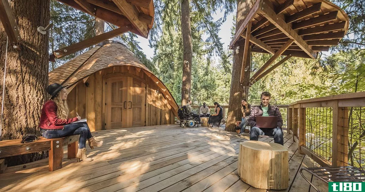 微软为员工建造了树屋