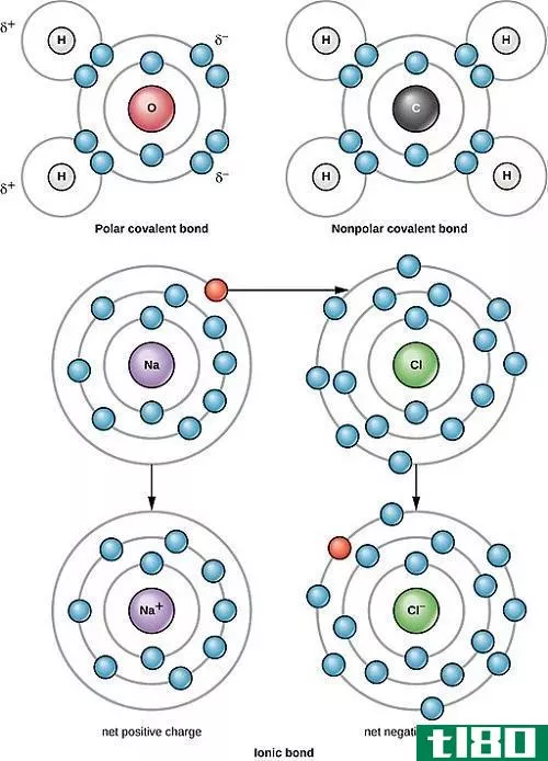 非极性(non-polar)和极性共价键(polar covalent bonds)的区别