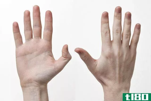 手(hand)和臂(arm)的区别