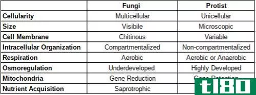 原生生物(protists)和真菌(fungi)的区别