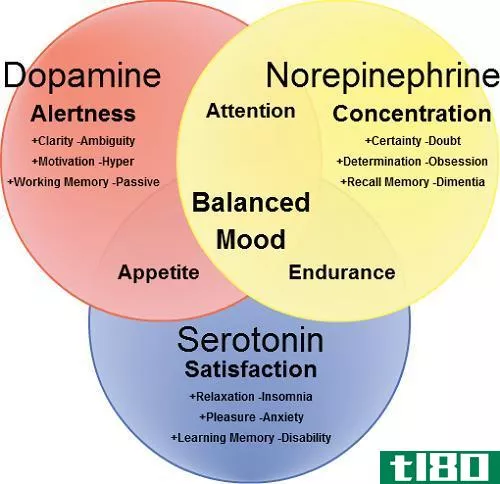 血清素(serotonin)和多巴胺(dopamine)的区别