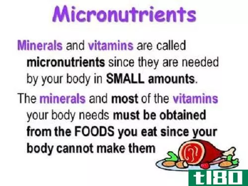 微量营养素(micronutrients)和大量营养素(macronutrients)的区别