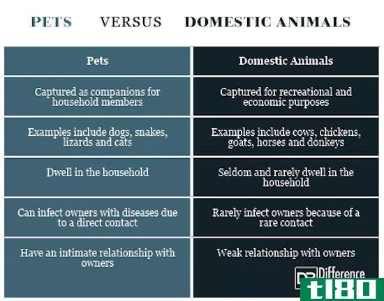 宠物(pet)和家畜(domestic animals)的区别
