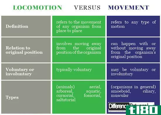 运动(locomotion)和运动(movement)的区别