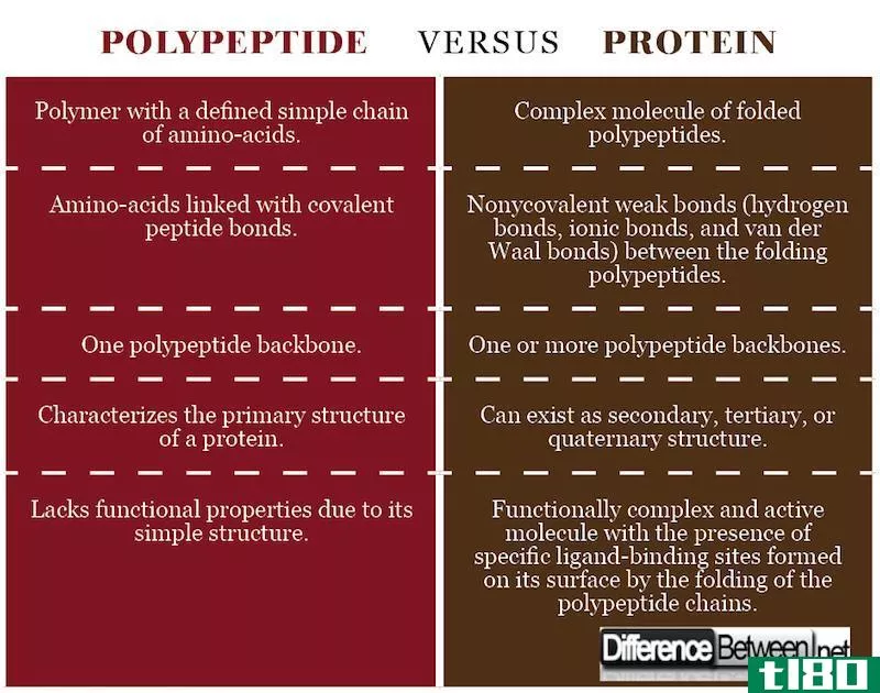 多肽(polypeptide)和蛋白质(protein)的区别