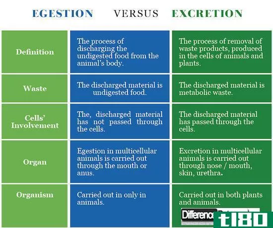 排泄(egestion)和排泄物(excretion)的区别