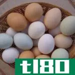 白鸡蛋(white eggs)和褐色鸡蛋(brown eggs)的区别