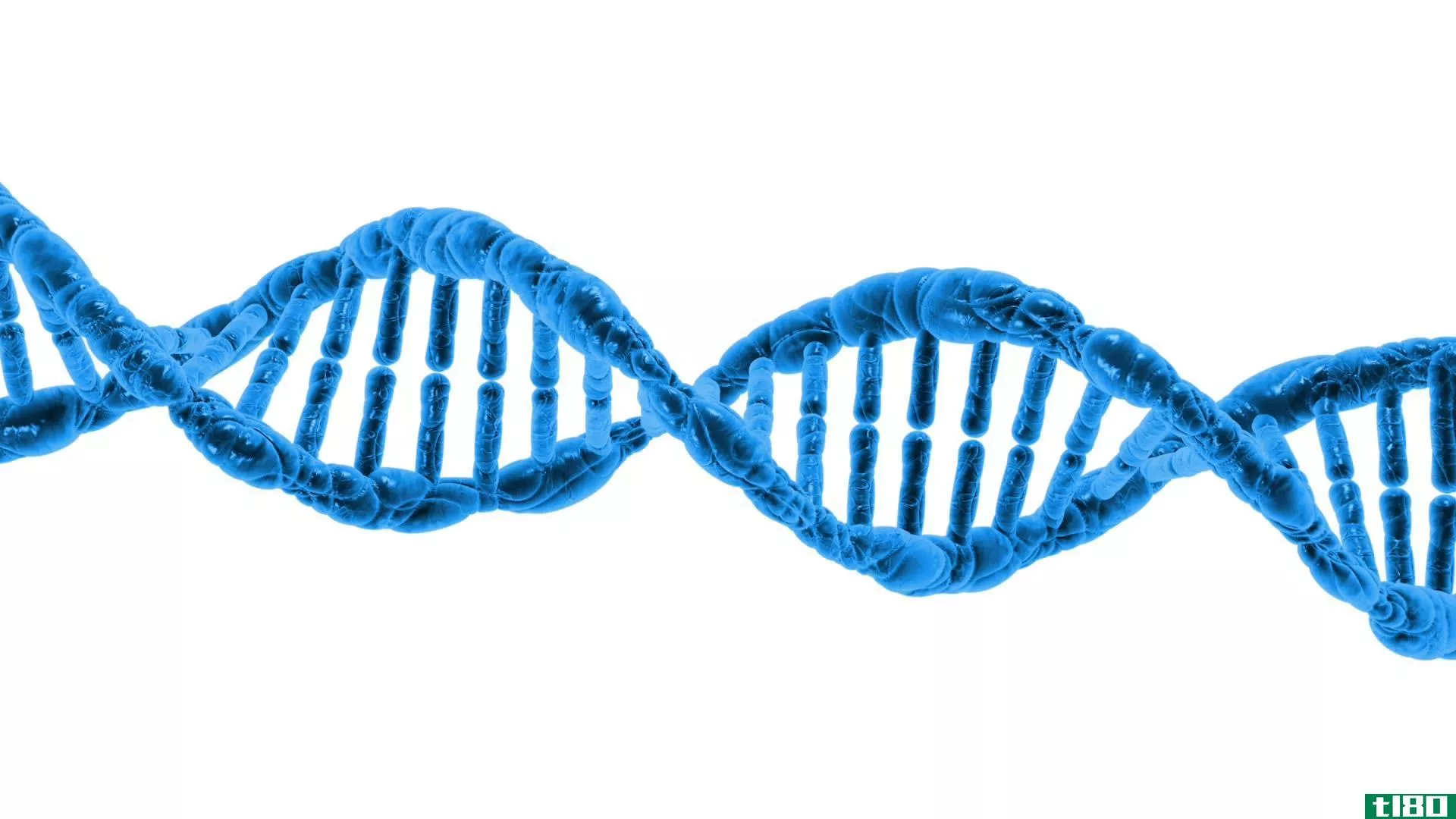 dna(dna)和遗传学(genetics)的区别