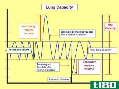 强迫肺活量(forced vital capacity)和肺活量(vital capacity)的区别