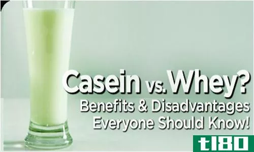 乳清(whey)和酪蛋白(casein)的区别