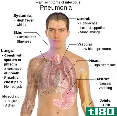 肺炎(pneumonia)和支气管炎(bronchitis)的区别
