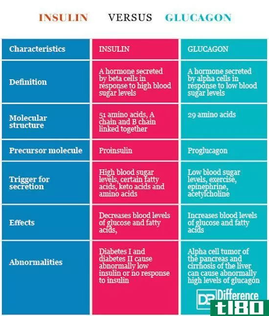 胰岛素(insulin)和胰高血糖素(glucagon)的区别