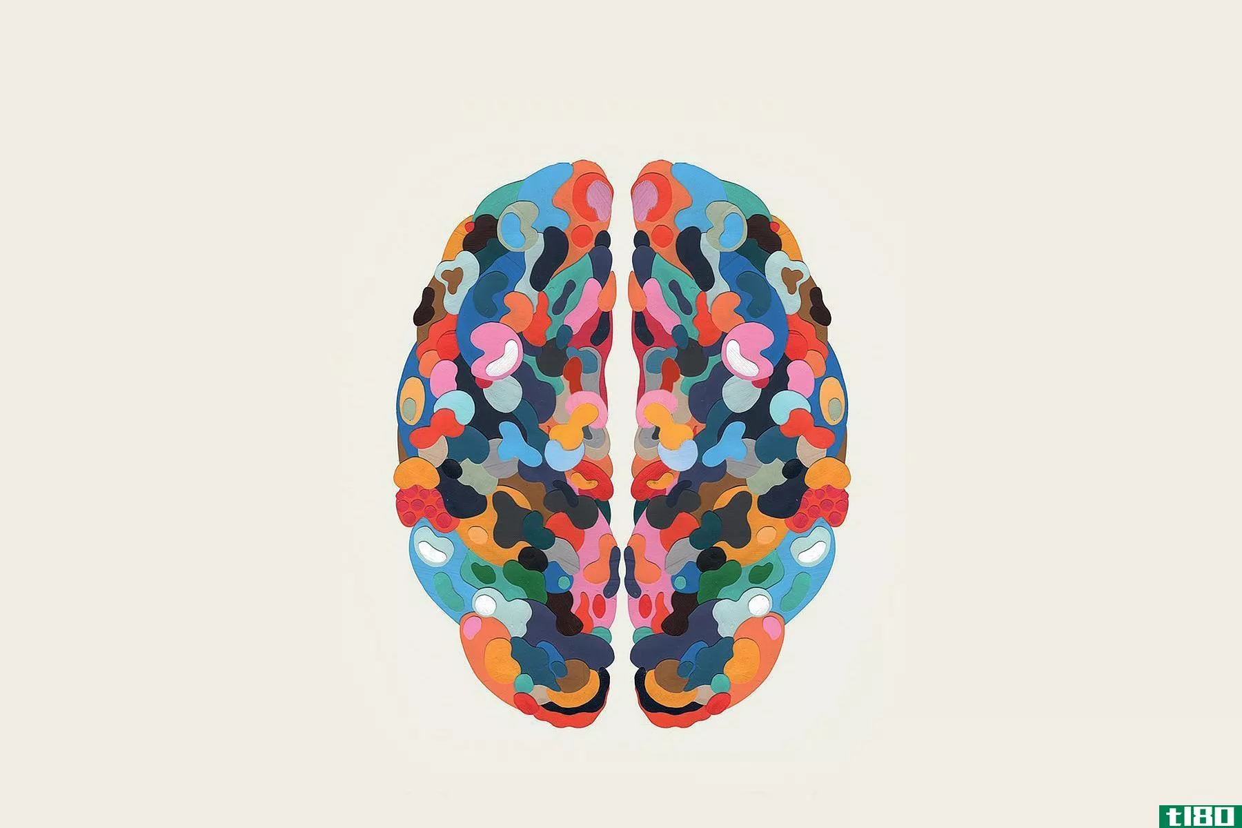 神经学家大卫·伊格尔曼和作曲家安东尼·勃兰特解释了创造力是如何工作的