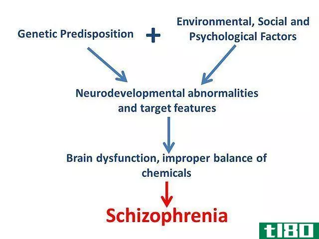 分离性身份障碍（did）(dissociative identity disorder (did))和精神分裂症(schizophrenia)的区别