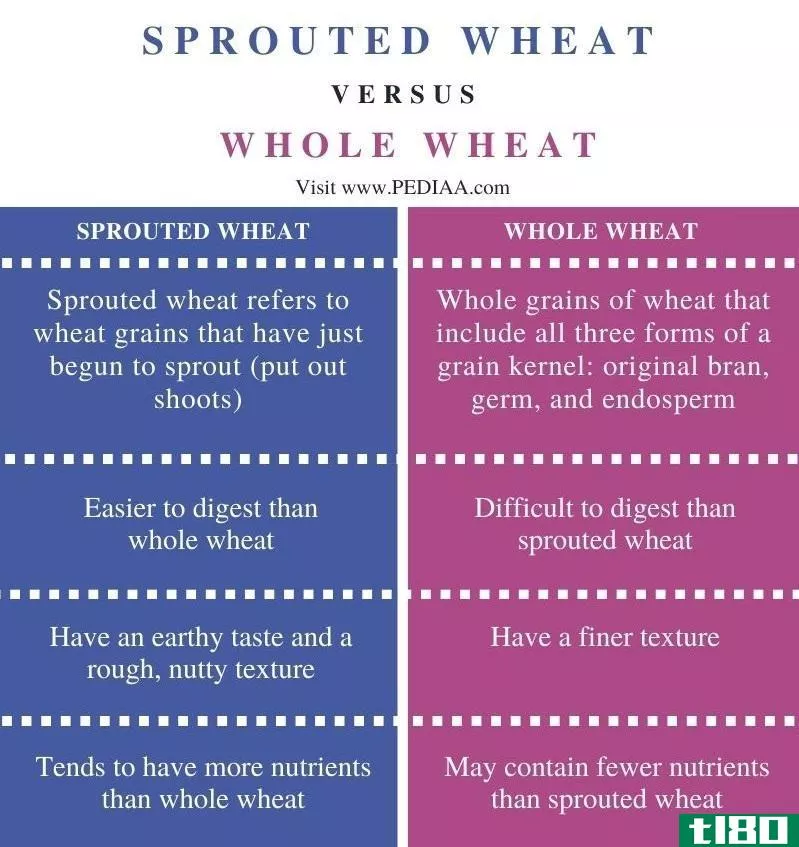 发芽小麦(sprouted wheat)和全麦(whole wheat)的区别