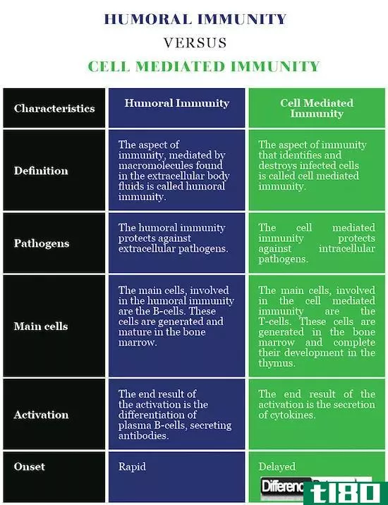 幽默的(humoral)和细胞介导免疫(cell mediated immunity)的区别