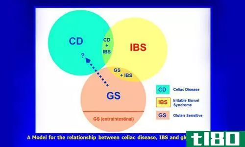 肠易激综合征(ibs)和腹腔疾病(celiac disease)的区别