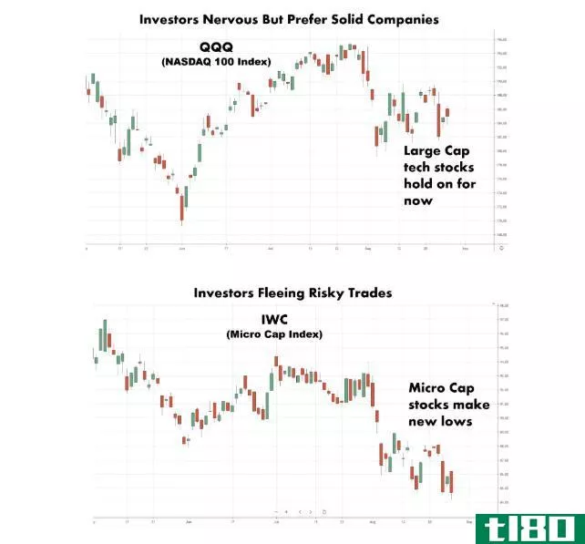 Charts showing investors fleeing risk