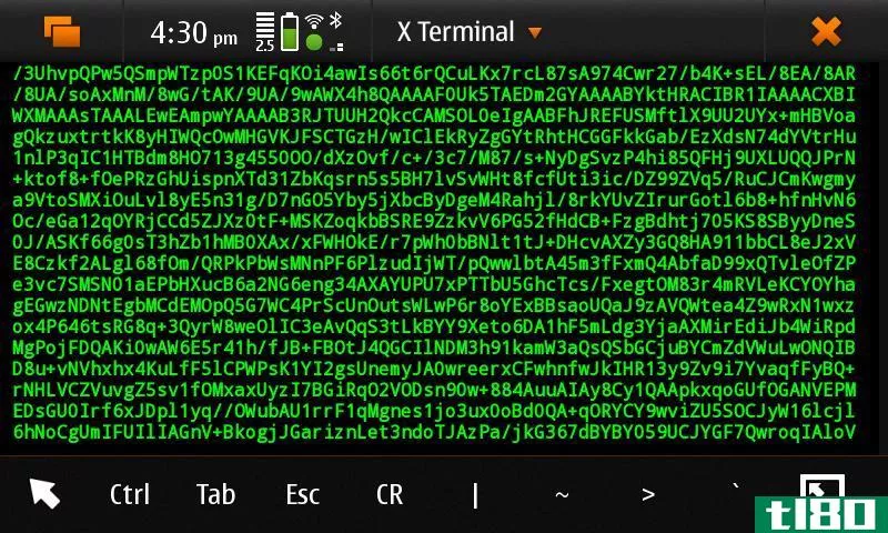 xterm公司(xterm)和终端(terminal)的区别