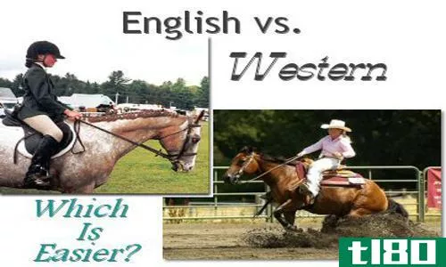英语(english)和西部骑术(western riding)的区别