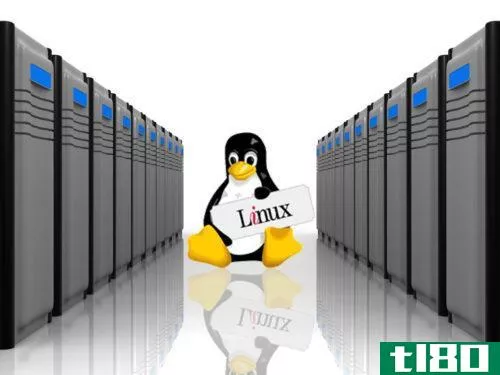 linux(the  linux)和windows主机(windows hosting)的区别