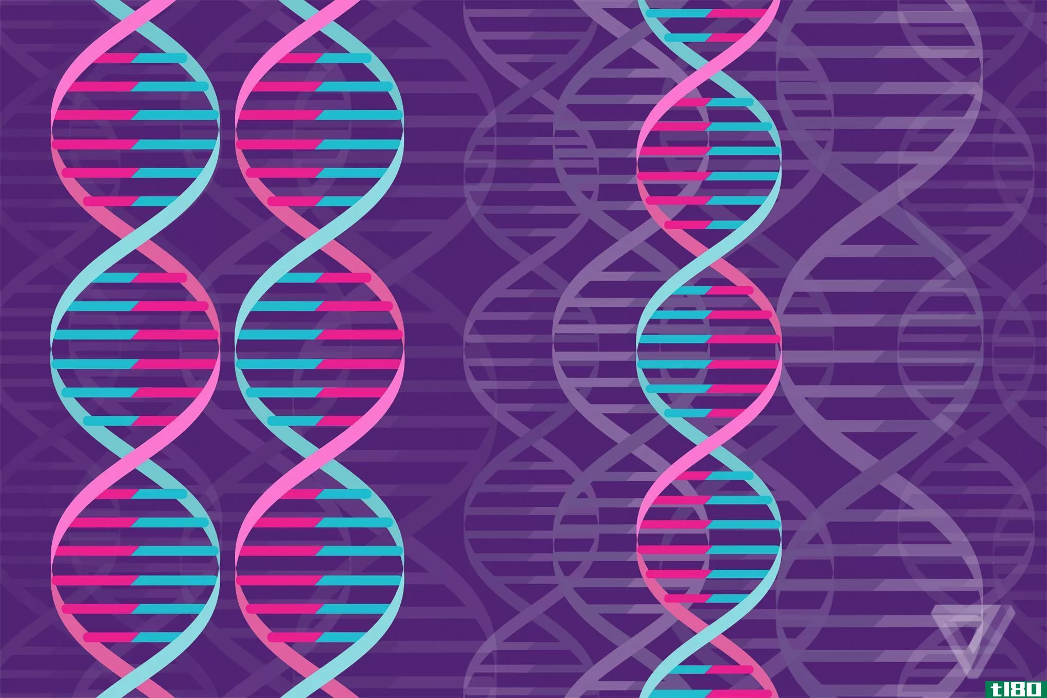 基因编辑工具crispr现在可以操纵更多类型的遗传物质