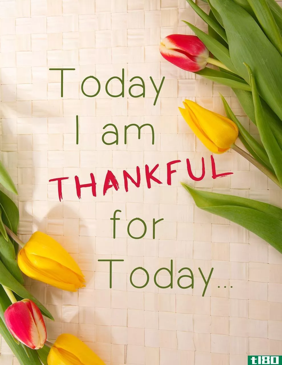 感激的(grateful)和感激的(thankful)的区别