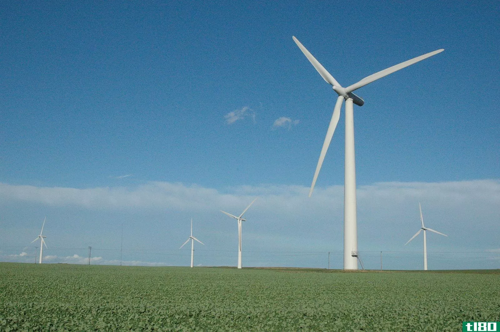 风车(windmill)和风力涡轮机(wind turbine)的区别