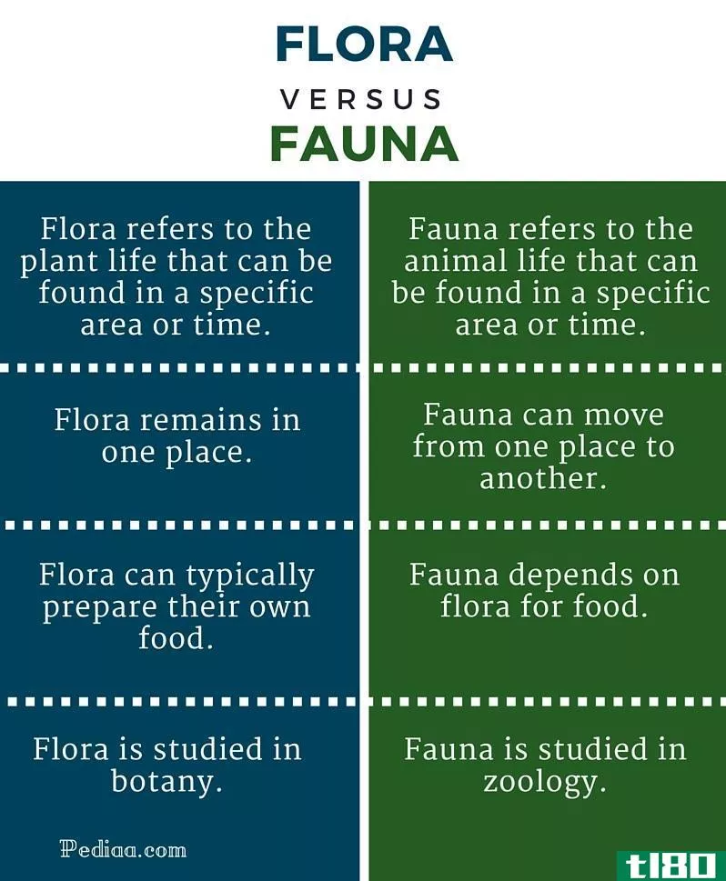 植物群(flora)和动物群(fauna)的区别