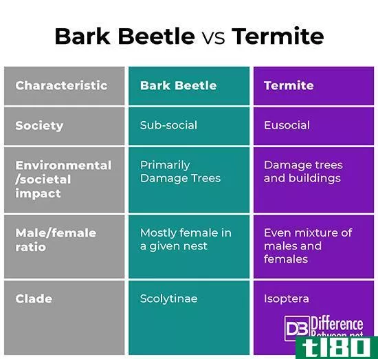 小蠹虫(bark beetle)和白蚁(termite)的区别