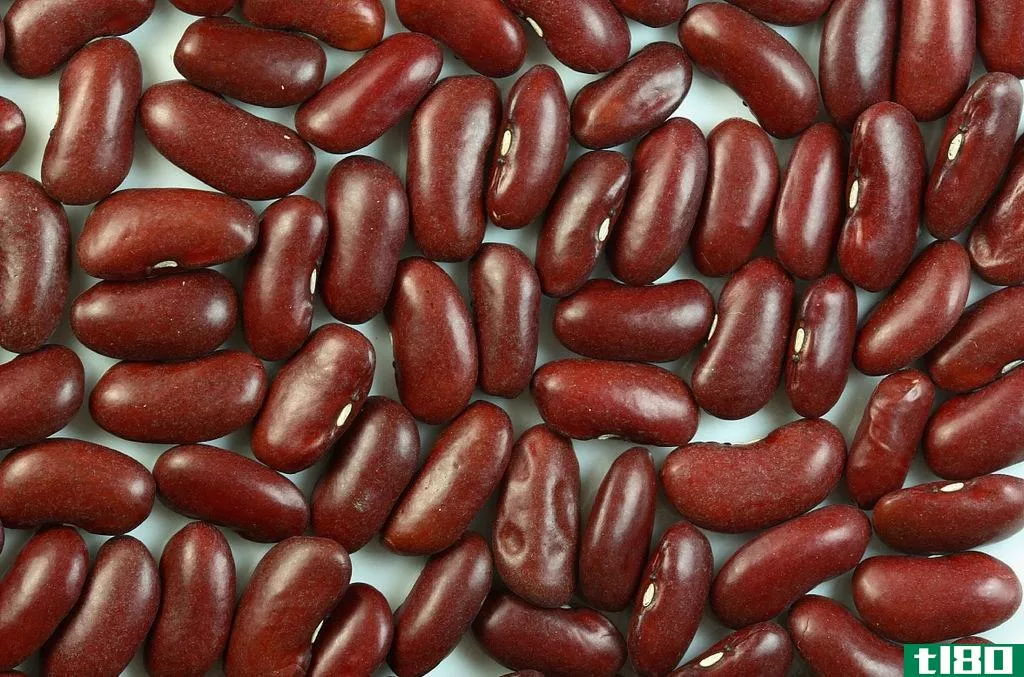 豆(beans)和豌豆(peas)的区别