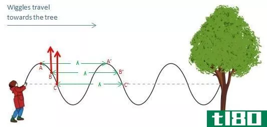 Difference Between Wavelength and Period - Waves_on_a_rope