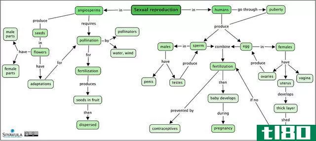 性的(sexual)和无性生殖(asexual reproduction)的区别