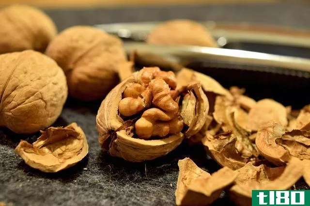 山核桃(pecans)和胡桃(walnuts)的区别