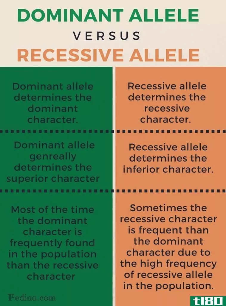 主导(dominant)和隐性等位基因(recessive alleles)的区别