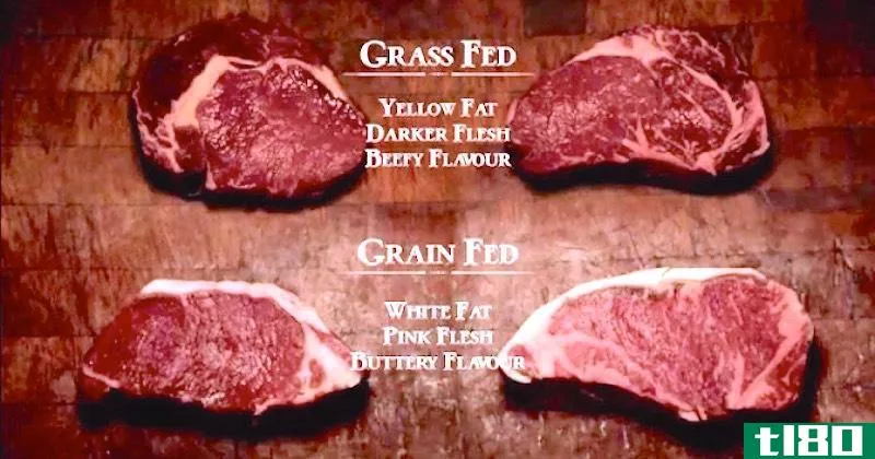 草饲牛肉(grass fed beef)和粮饲牛肉(grain fed beef)的区别