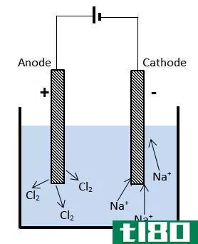 Difference Between Anode and Cathode - Electrolysis
