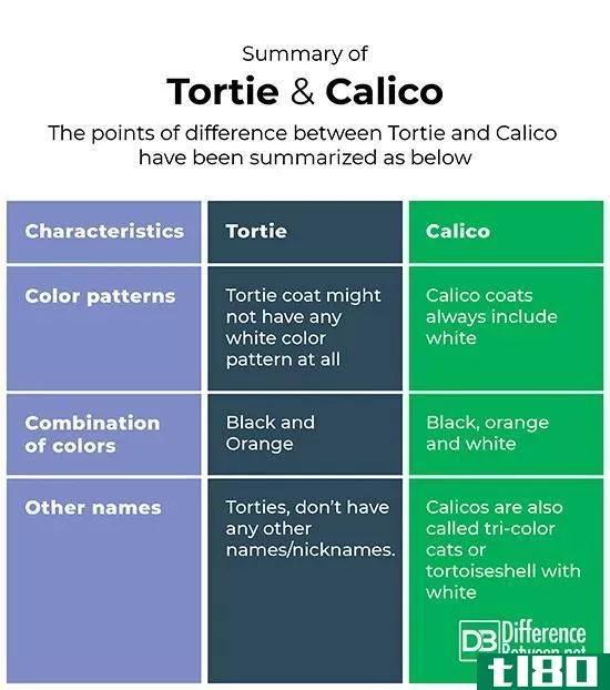 玉米饼(tortie)和印花布(calico)的区别