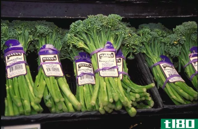 花椰菜(broccolini)和西兰花兔(broccoli rabe)的区别