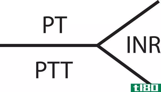 ptt公司(ptt)和aptt公司(aptt)的区别