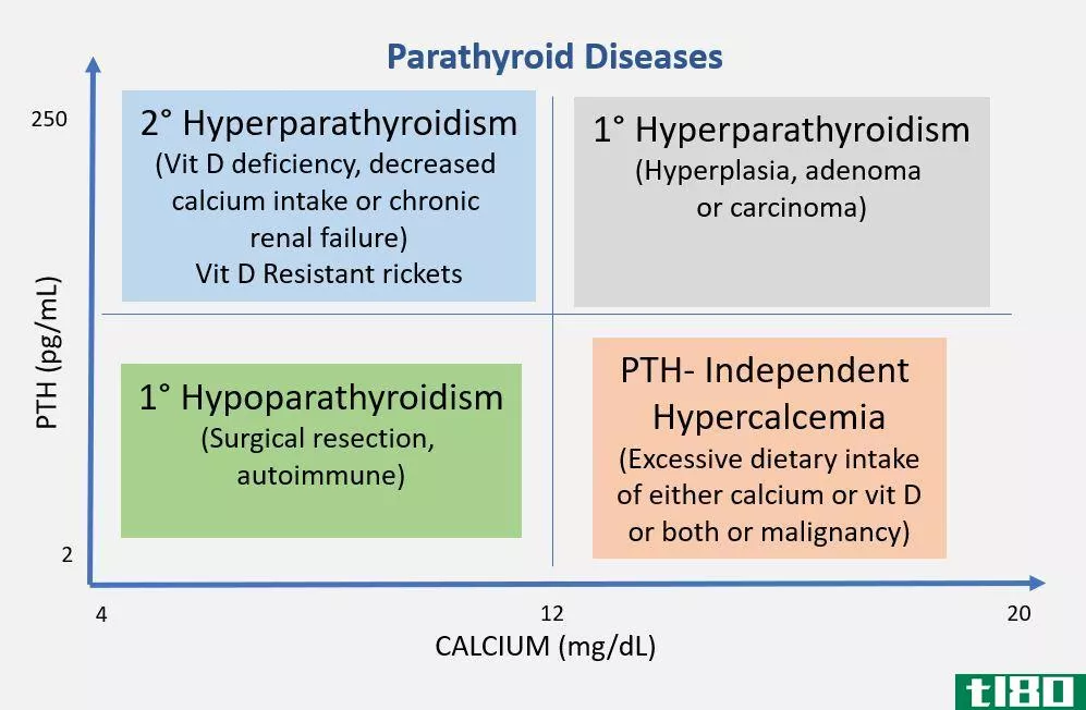 甲状旁腺功能亢进(hyperparathyroidism)和甲状腺机能亢进(hyperthyroidism)的区别