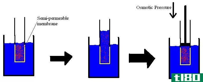 渗透压(osmotic pressure)和膨胀压(oncotic pressure)的区别