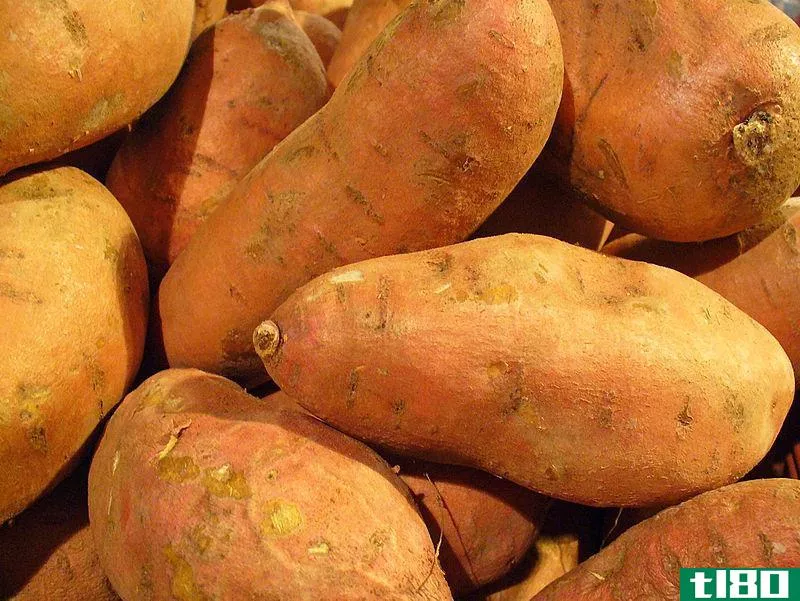 山药(yams)和红薯(sweet potatoes)的区别