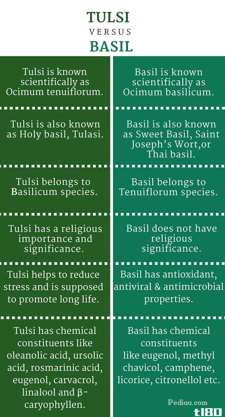 图尔西(tulsi)和罗勒(basil)的区别