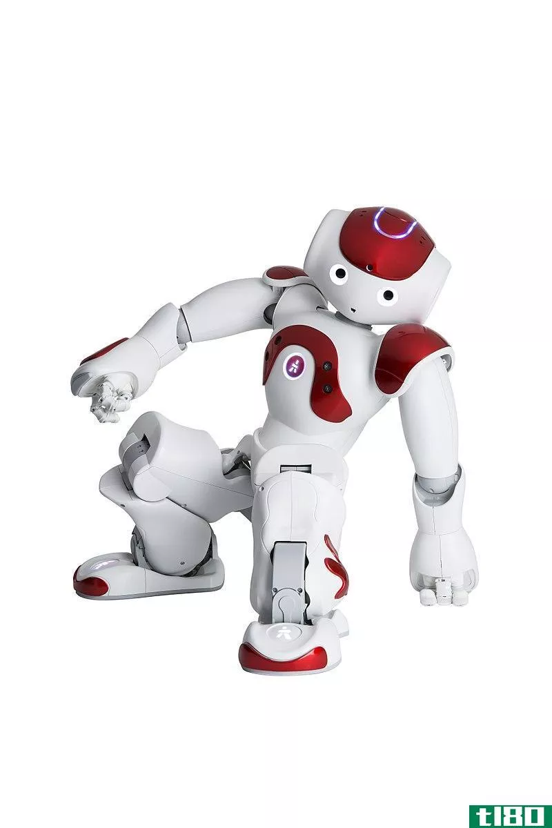 人形(humanoid)和机器人(robot)的区别