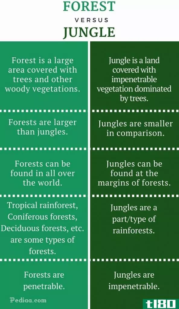 森林(forest)和丛林(jungle)的区别